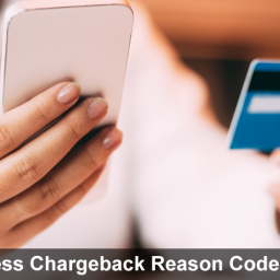 AMERICAN EXPRESS CHARGEBACK REASON CODES