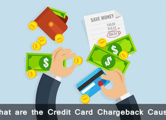 Chargeback-Causes