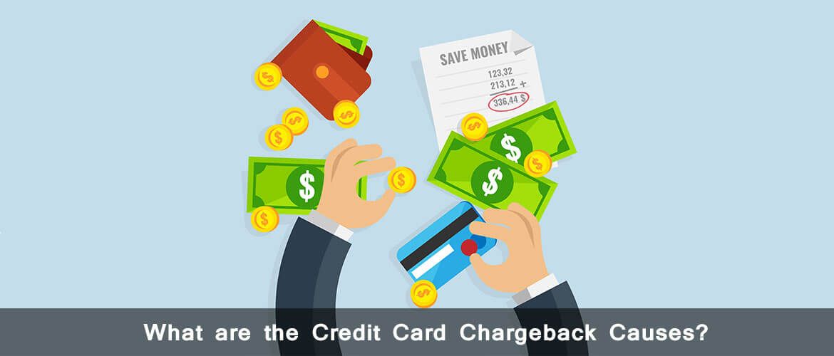 Chargeback-Causes