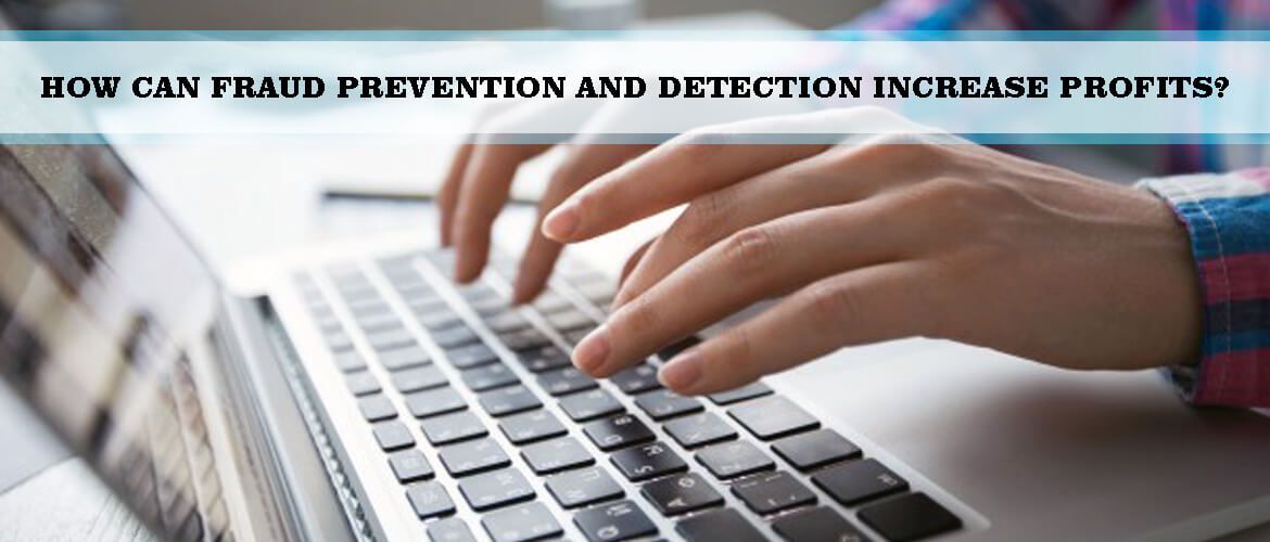 Fraud Prevention and Detection Increase Profits