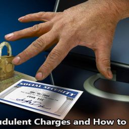 Causes_of_Fraudulent_Charges